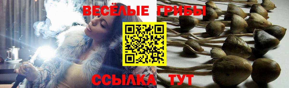 Галлюциногенные грибы мицелий Черкесск